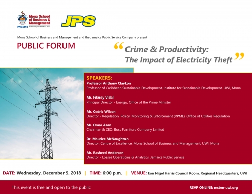 Crime & Productivity: The Impact of Electricity Theft