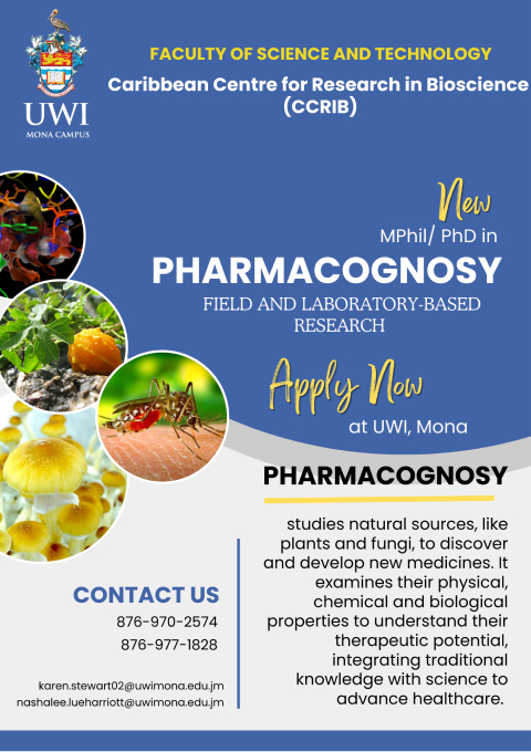 MPhil/PhD in Pharmacognosy flyer