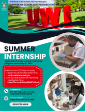 Summer Internship Program