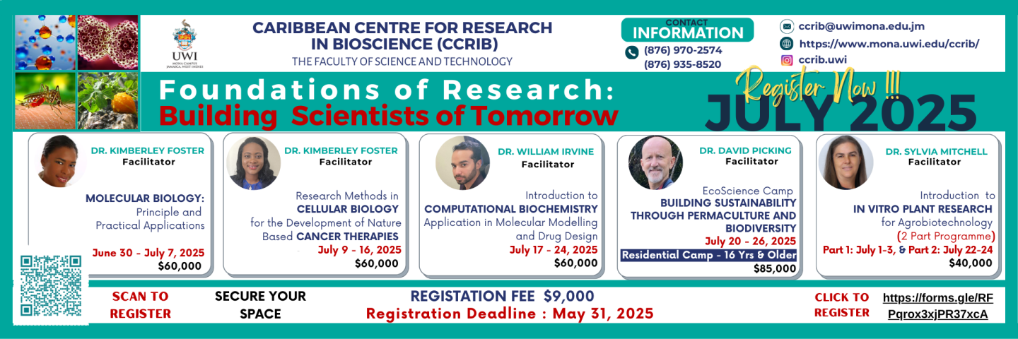 Summer Research Programme 2025