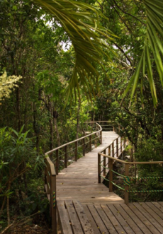 Entry to the EFJ'S FCF Discovery Centre Boardwalk