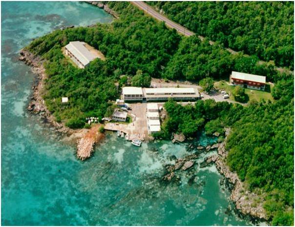 Discovery Bay Marine Lab Centre For Marine Sciences The University Of The West Indies At Mona Jamaica