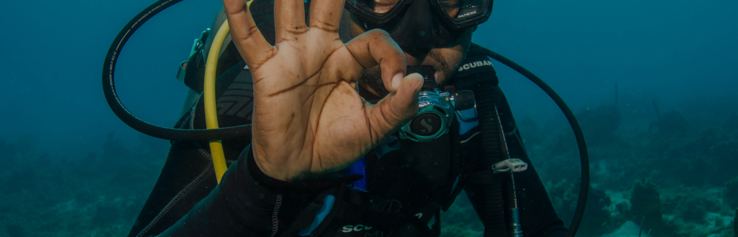 Diver giving the OK sign