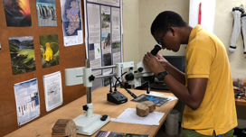 Student looking through microscope