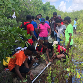 Students in the field