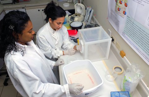 Dr. Rupika Delgoda and Dr. Sheena Francis of the Natural Products Institute in Jamaica observing equipment from Seeding Labs