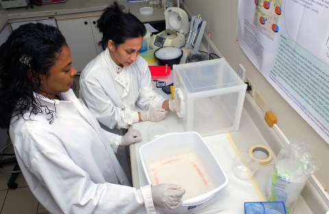 Dr. Rupika Delgoda and Dr. Sheena Francis of the Natural Products Institute in Jamaica observing equipment from Seeding Labs