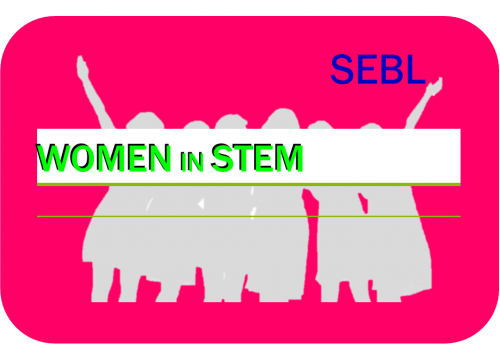 Women in Stem Display