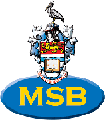 msblogo2.gif