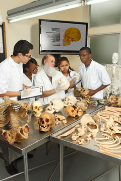 Forensic Anthropology Lecturer, Mr. M. Gardner