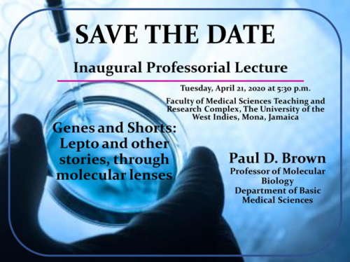 Inaugural Professorial Lecture