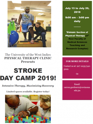 Physical Therapy Clinic | Stroke Day Camp 2019