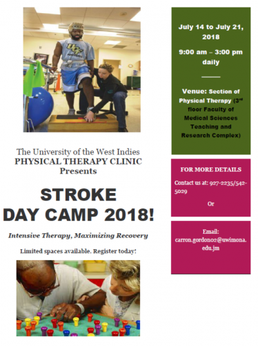 Physical Therapy Clinic Stroke Day Camp