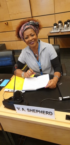 Prof Shepherd at CERD Meeting, Geneva