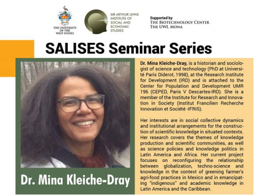 SALISES Seminar Series | Mina Kleiche-Dray