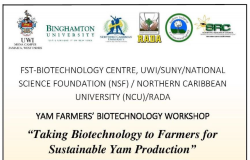 Yam Farmers' Biotechnology Workshop