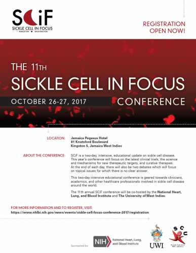 sickle cell in focus