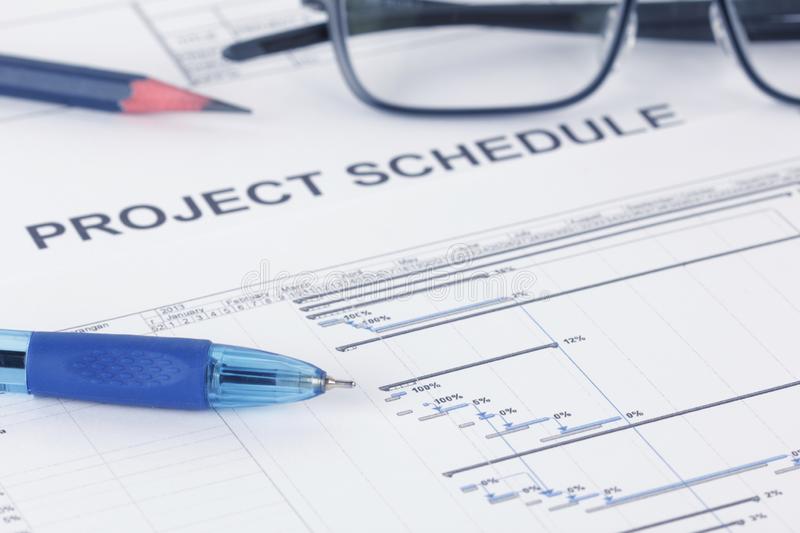 Project schedule