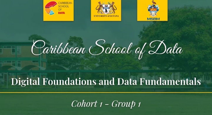 Caribbean School of Data Flyer