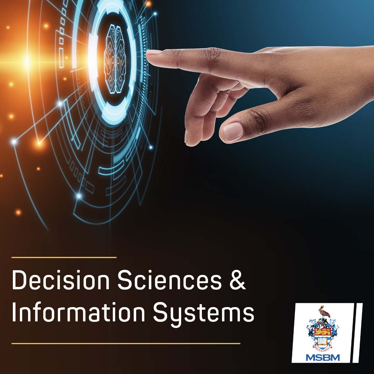 DSIS poster