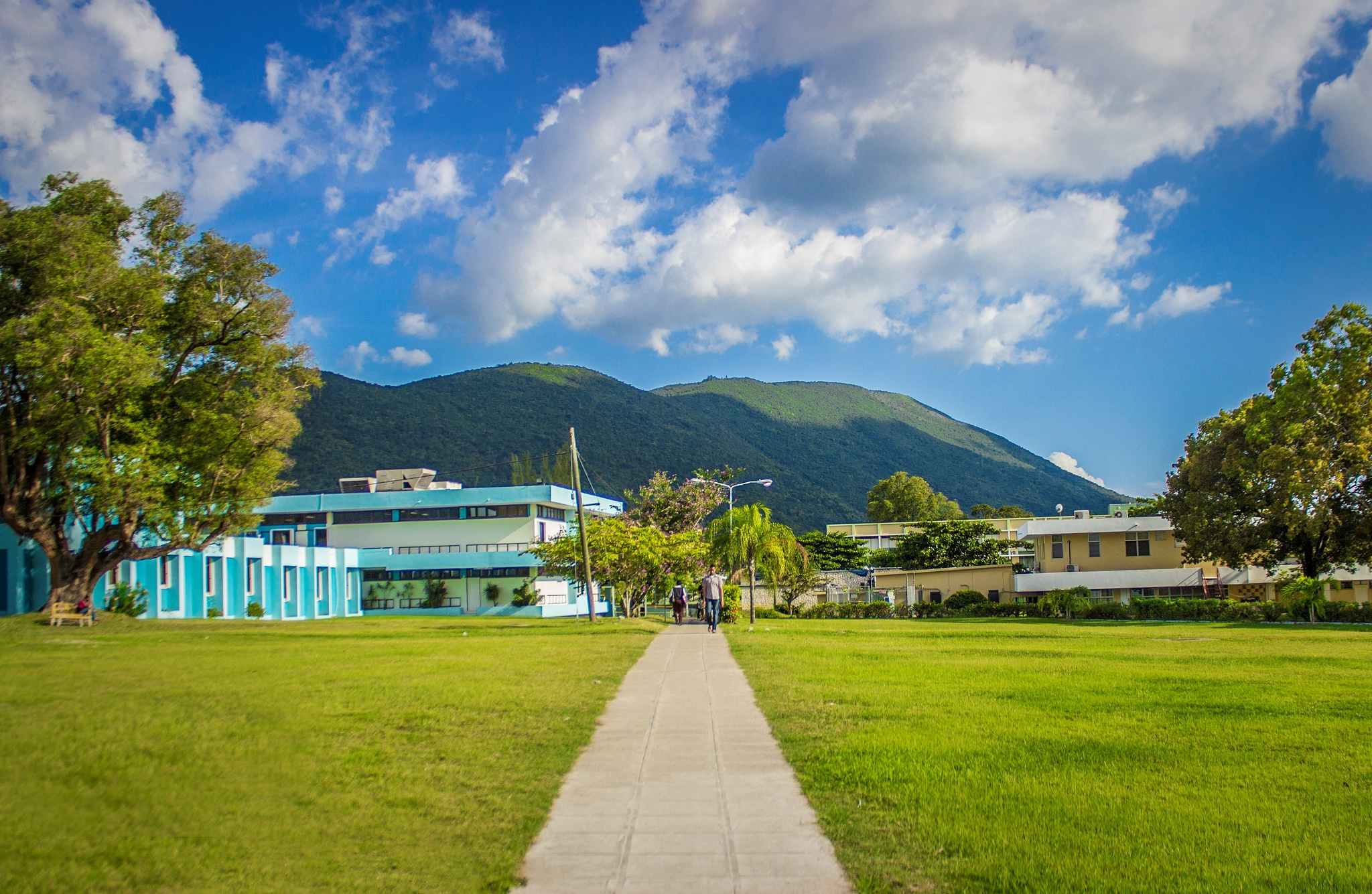 uwi landscape