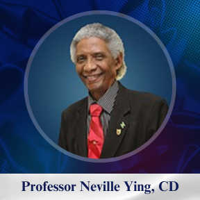 Professor Neville Ying