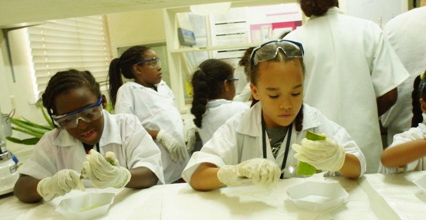 Mini Scientist Outreach Programme for Children