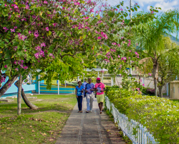 Students walking on one of the may walkways on campus
