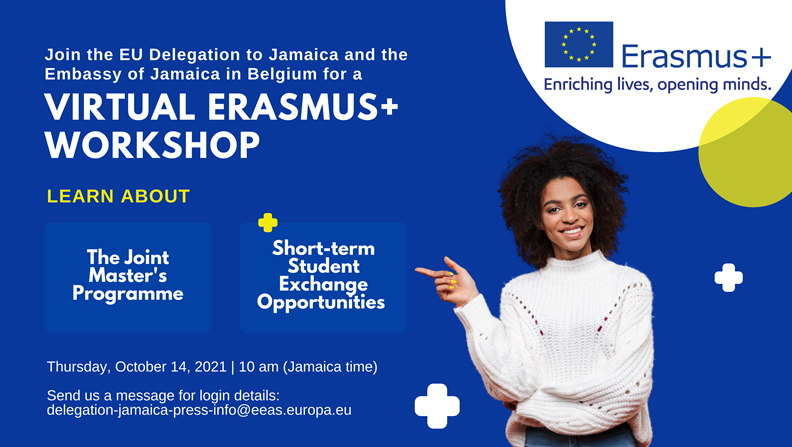 REMINDER | Virtual Erasmus Workshop